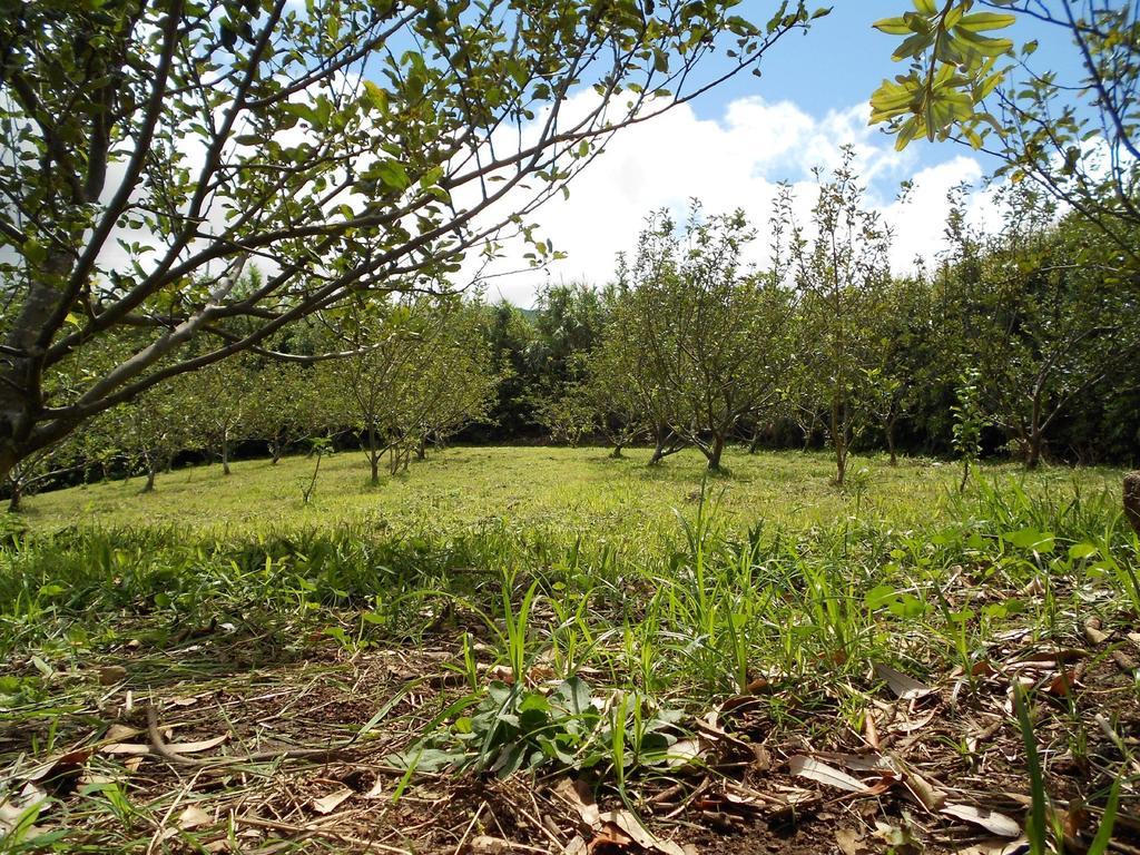 Quinta Rico Villa Quatro Ribeiras Luaran gambar