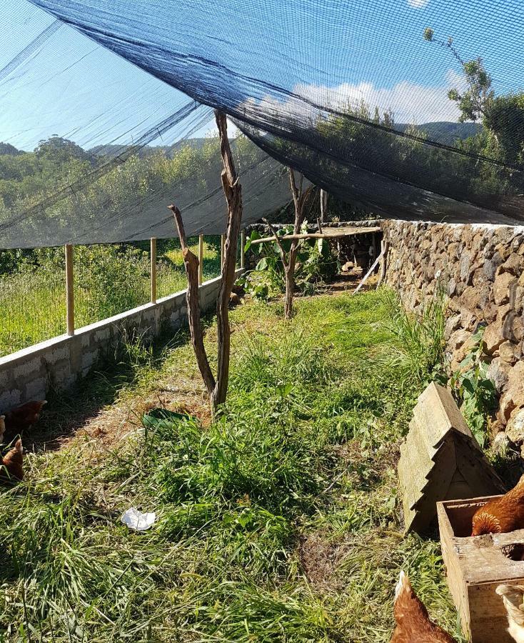 Quinta Rico Villa Quatro Ribeiras Luaran gambar